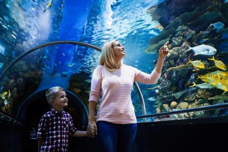 Aquaria KLCC